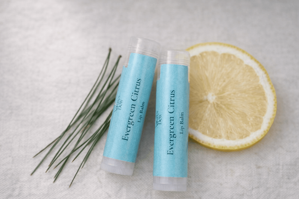 Evergreen Citrus Lip Balm - 4.25g - Nature's Dew Candle & Skincare