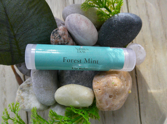 Forest Mint Lip Balm on smooth stones with greenery.