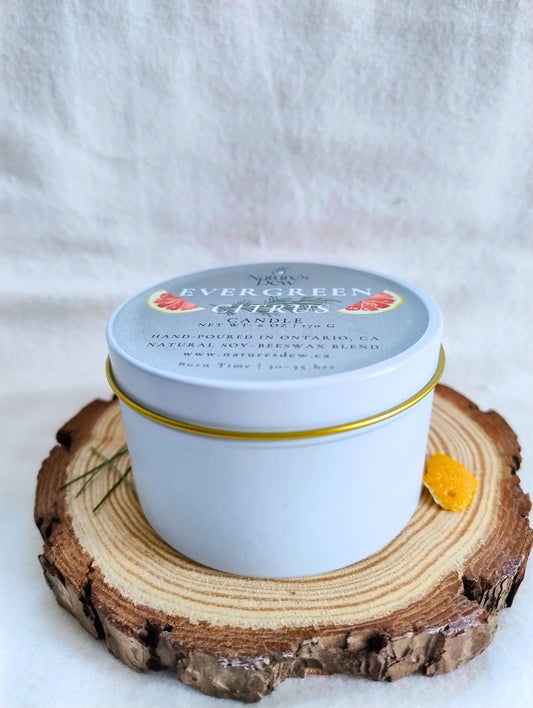 Evergreen Citrus Candle - Fir Needle · Sweet Orange · Juniper · Cedarwood · Eucalyptus - Nature's Dew Candle & Skincare