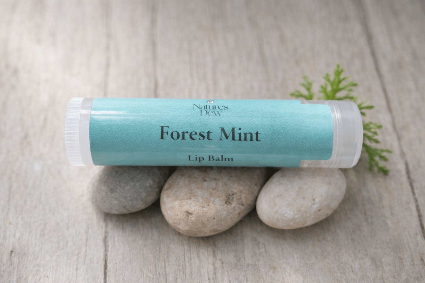 Forest Mint Lip Balm - 4.25g - Nature's Dew Candle & Skincare