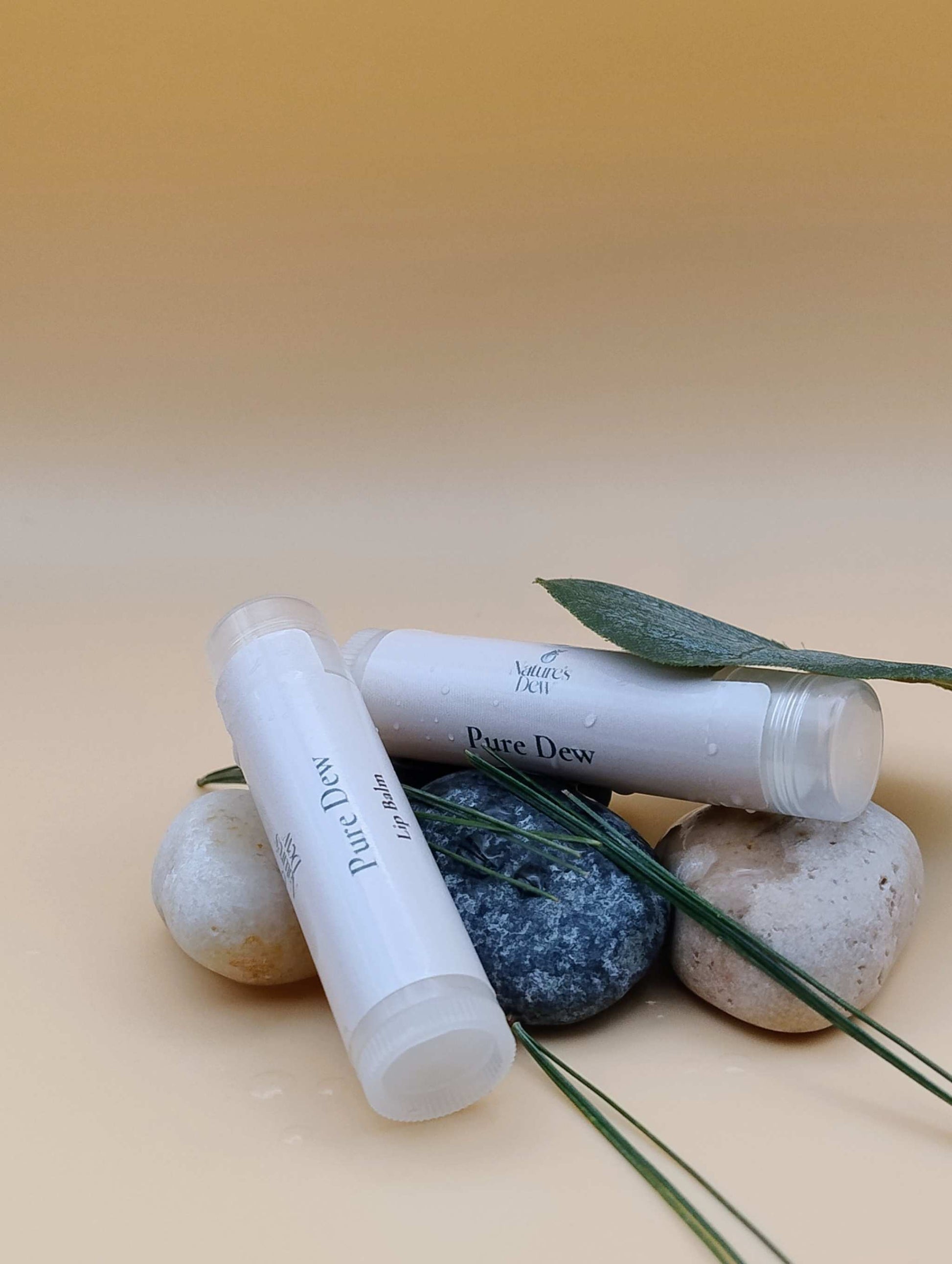 Pure Dew Lip Balm on rocks with a leaf, offering fragrance-free hydration for sensitive lips.
