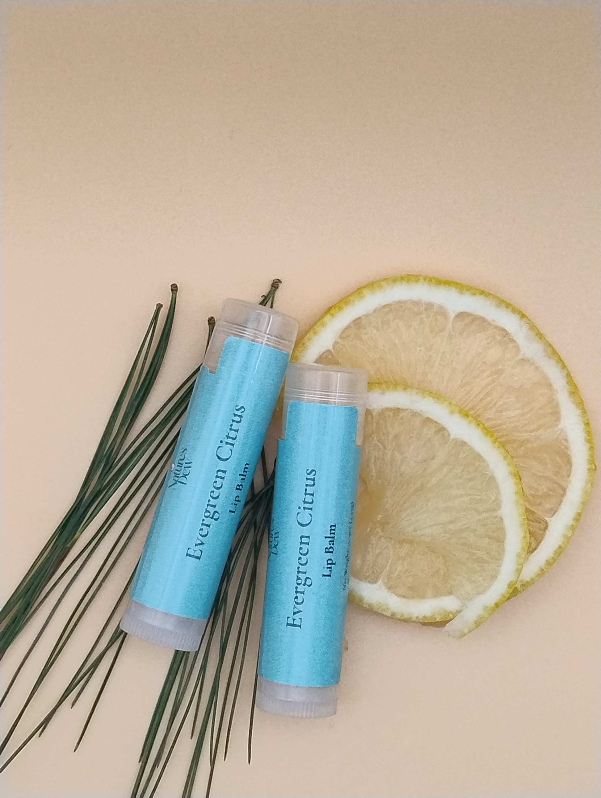 Evergreen Citrus Lip Balm – orange and fir blend – Nature’s Dew Candle & Skincare