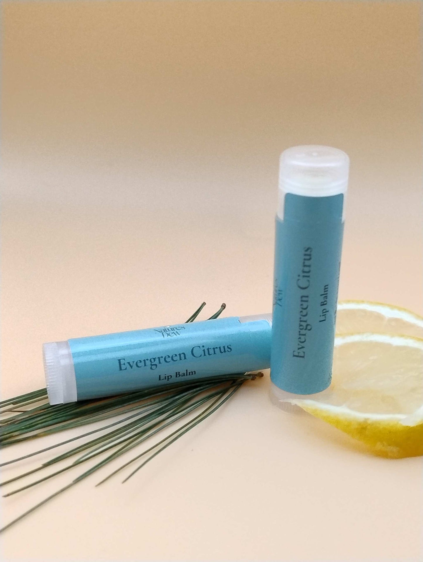 Evergreen Citrus Lip Balm – orange and fir blend – Nature’s Dew Candle & Skincare
